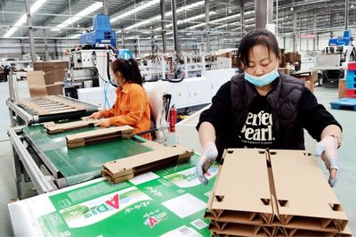 阿榮旗智能環保包裝項目試生產，環保技術引領新突破