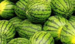 吃瓜網官網免費觀看 吃瓜網官網,免費觀看，暢享娛樂盛宴