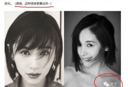 明星黑料最新,明星黑料曝光，真相背后引人深思