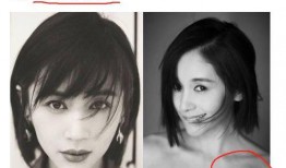 明星黑料最新,明星黑料曝光，真相背后引人深思