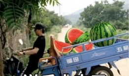 最近大瓜事件,揭秘明星隱私風波背后的真相