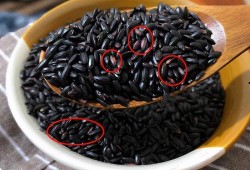 黑料不打料入口,探尋網絡世界的真實與虛假