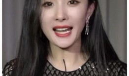 明星黑料最新,明星黑料曝光，真相背后引人深思