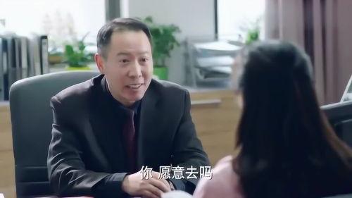 校長的欲望,共創(chuàng)教育輝煌未來